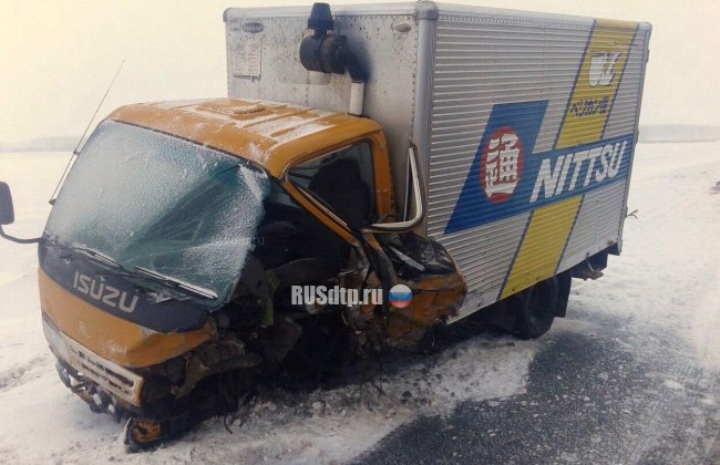 На автодороге в Омской области погиб пожилой водитель
