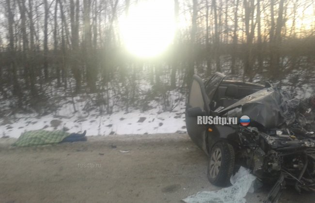В Пензенской области в ДТП погиб автоугонщик