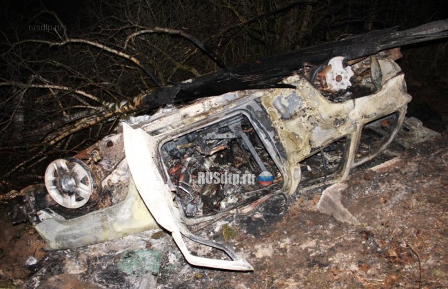 Три человека сгорели в вылетевшей в кювет иномарке в Псковской области