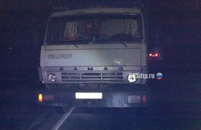 Три человека погибли в ДТП в Запорожской области