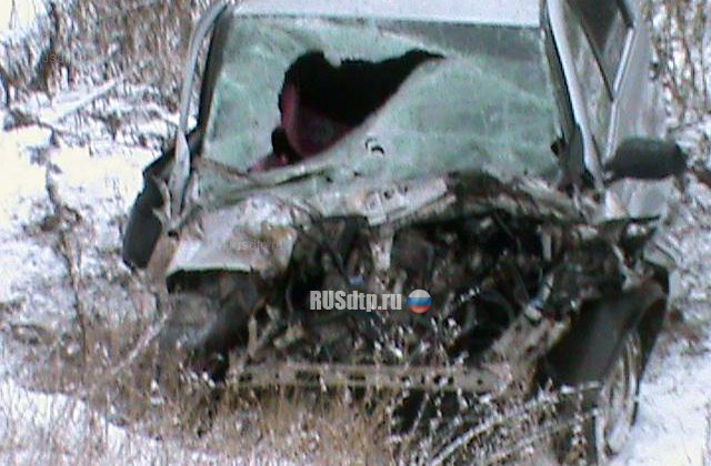 В ДТП с маршрутной Газелью под Рязанью пострадали 7 человек