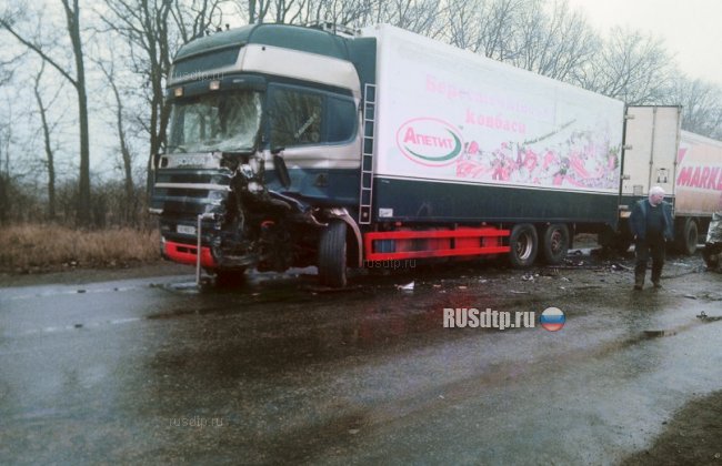 Микроавтобус столкнулся с фурой в Днепропетровской области. Трое погибли