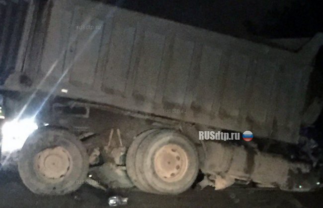 Три человека погибли на трассе М-1 «Беларусь» в Одинцовском районе