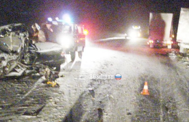 Два человека погибли на автодороге в Омской области
