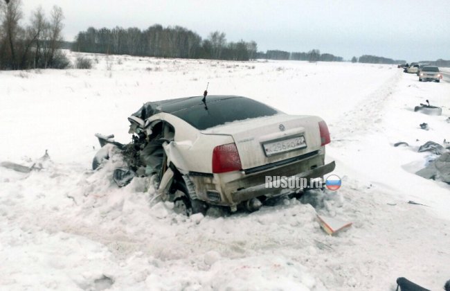 Два человека погибли в утреннем ДТП под Омском
