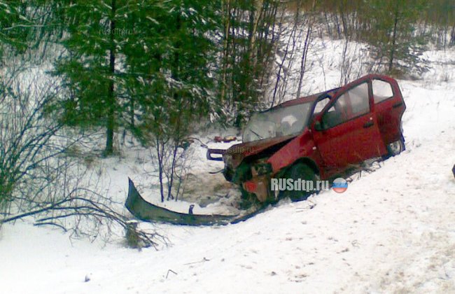 Два человека погибли в столкновении автомобилей в Костромской области