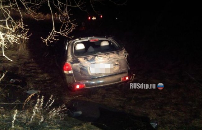 Супруги погибли в результате ДТП в Тверской области