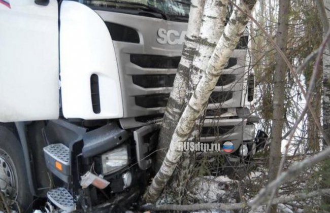 В Кировской области 52-летний дальнобойщик погиб, врезавшись в дерево