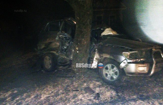 Один человек погиб при столкновении «Тойоты» с деревом в Ленинградской области