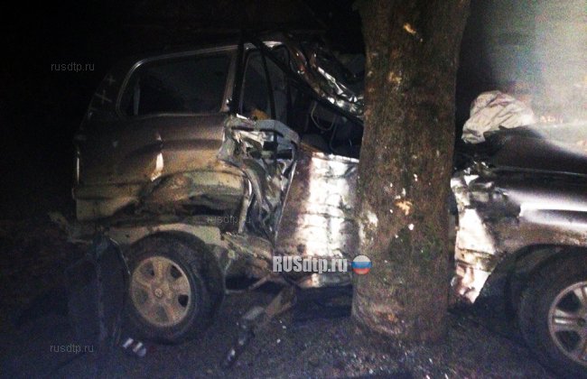 Один человек погиб при столкновении «Тойоты» с деревом в Ленинградской области