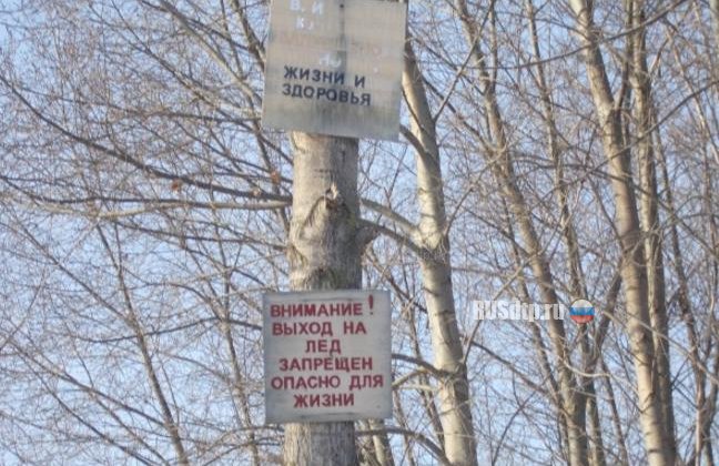 В Воронежской области двое братьев провалились под лёд. Погиб подросток