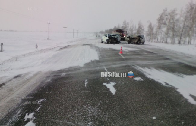 Девочка погибла и 6 взрослых пострадали в результате ДТП в Ульяновской области