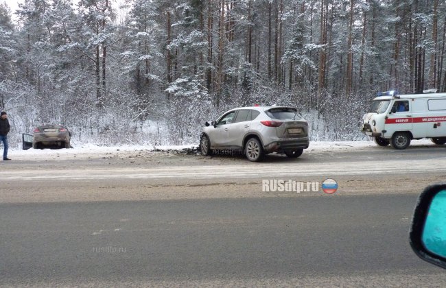 Водитель и его пассажирка погибли в ДТП в Новгородской области