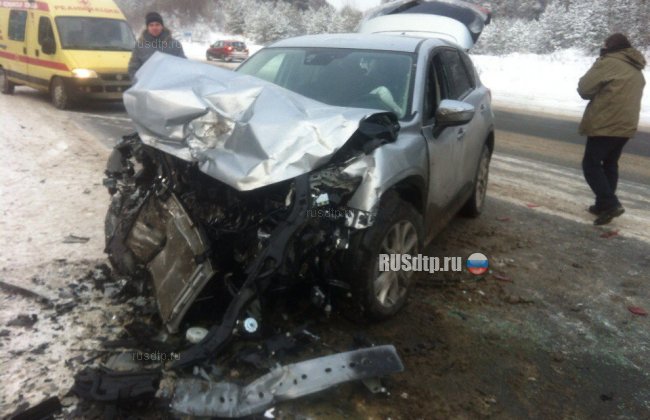 Водитель и его пассажирка погибли в ДТП в Новгородской области