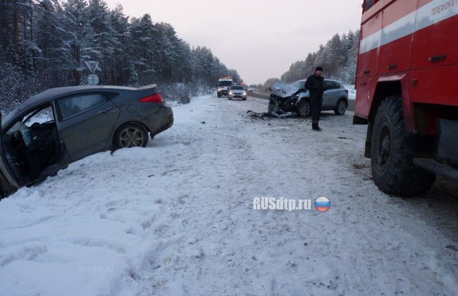 Водитель и его пассажирка погибли в ДТП в Новгородской области