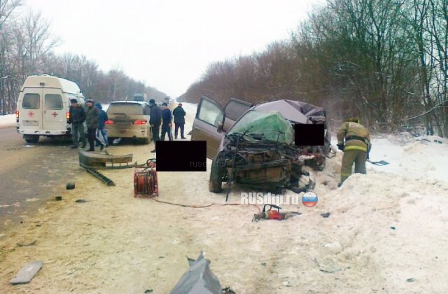 Два человека погибли в ДТП на трассе М-2«Крым» в Тульской области
