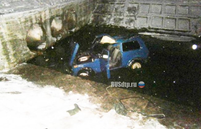 Водитель и две пассажирки погибли в результате ДТП в Черниговской области