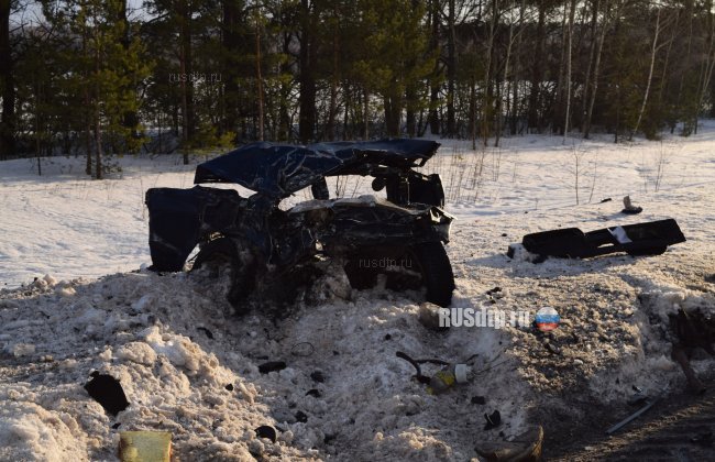Два человека погибли на автодороге в Нижегородской области