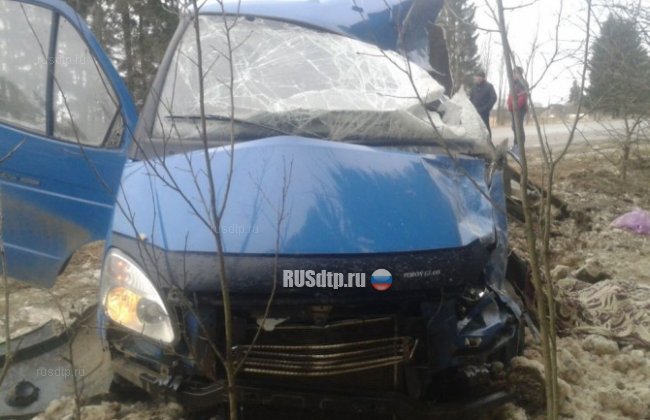 Дальнобойщик устроил смертельное ДТП на автодороге в Тверской области