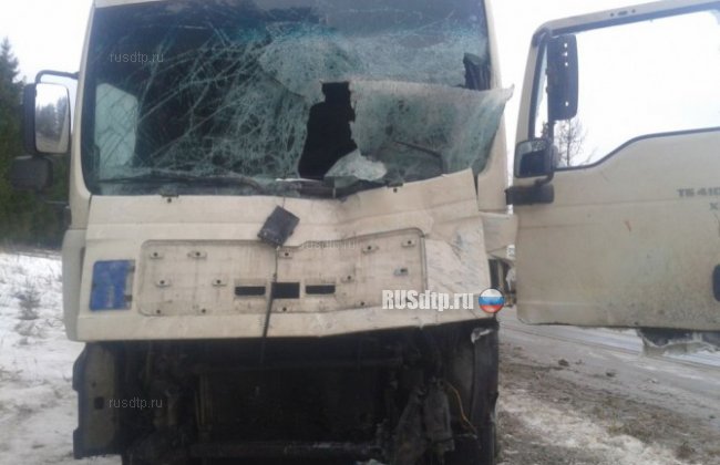Дальнобойщик устроил смертельное ДТП на автодороге в Тверской области