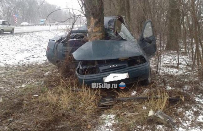 На Кубани погиб водитель, врезавшись в дерево