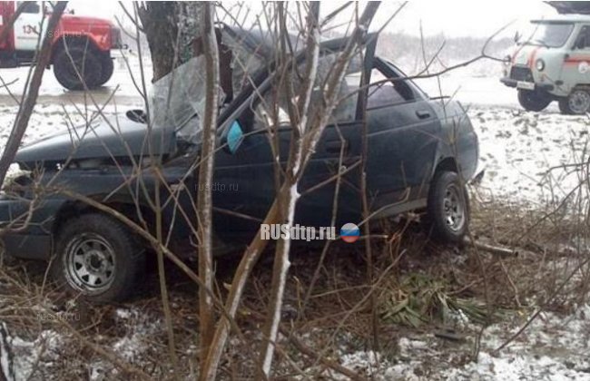 На Кубани погиб водитель, врезавшись в дерево