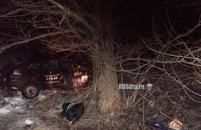 3 человека на учебной машине разбились насмерть на трассе в Воронежской области