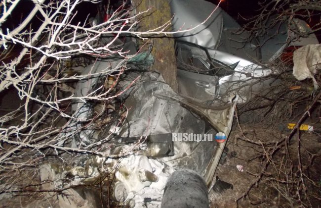 В Запорожье водитель Шевроле погиб, врезавшись в дерево