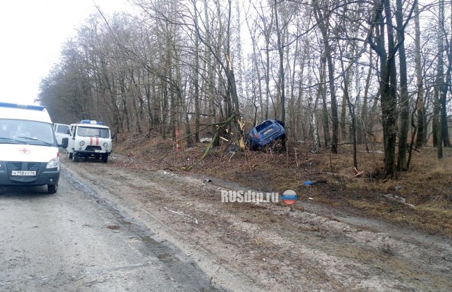 Два человека погибли в перевернувшемся «Mitsubishi» на трассе Тросна &#8212; Калиновка
