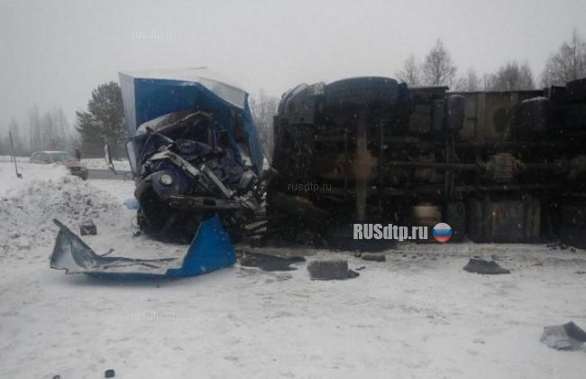 Водитель ГАЗа погиб в результате ДТП в Костромской области