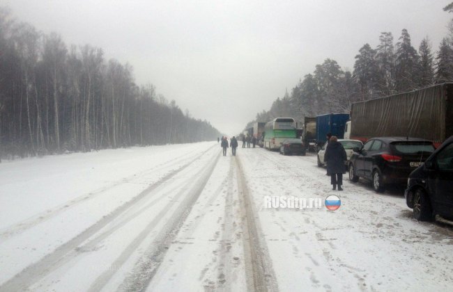 Один человек погиб и пятеро пострадали в массовом ДТП во Владимирской области