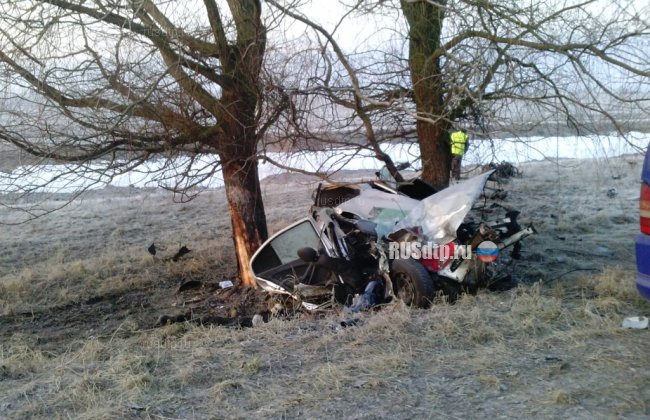 Три человека погибли и двое детей пострадали в ДТП в Черниговской области