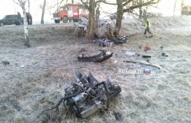 Три человека погибли и двое детей пострадали в ДТП в Черниговской области