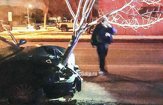 В США пьяная женщина пыталась скрыться от полиции с деревом в моторном отсеке