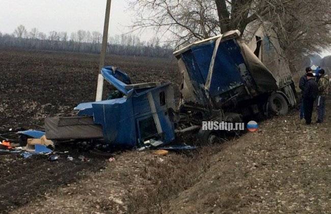 Молодой водитель погиб в ДТП на автодороге в Белгородской области