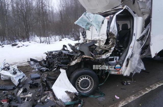 Водитель фургона погиб в результате ДТП в Новгородской области