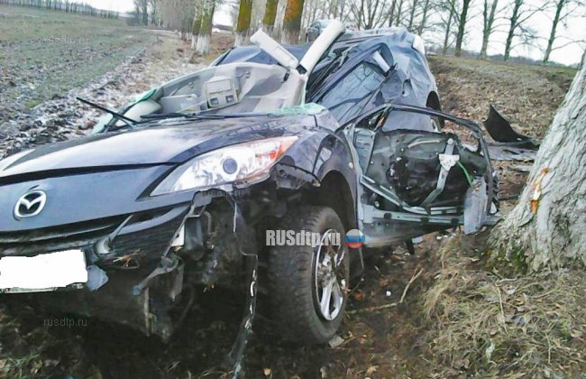 В Белгородской области водитель «Мазды» погиб от столкновения с деревом
