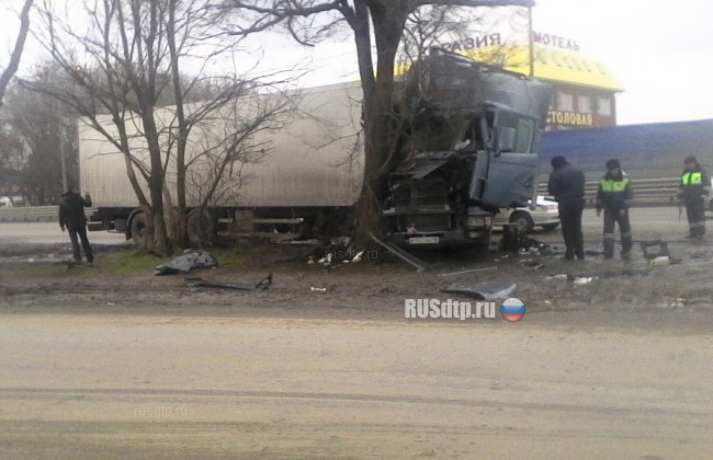 Дальнобойщик погиб при столкновении фуры с деревом в Ростовской области
