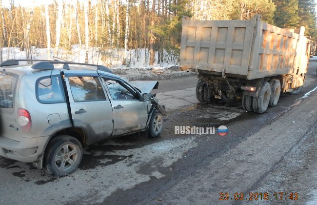 В Костромской области погиб водитель Нивы