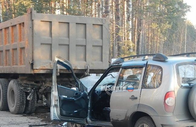 В Костромской области погиб водитель Нивы