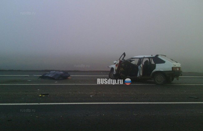 Один человек погиб и двое пострадали в ДТП в Новоспасском районе