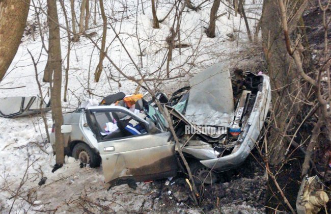 Водитель \&#187;Лады\&#187; погиб от столкновения с деревом на Красноглинском шоссе в Самаре