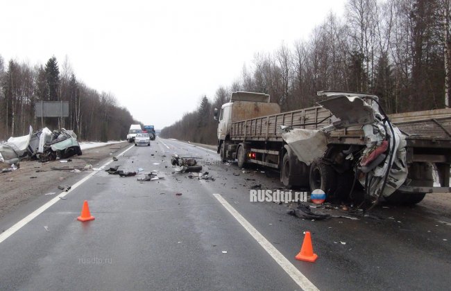 В Вологодской области два человека погибли по вине водителя МАЗа