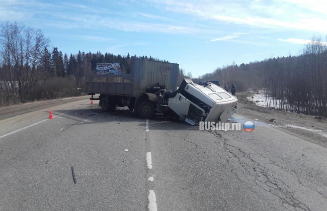 Два человека погибли в результате ДТП во Владимирской области