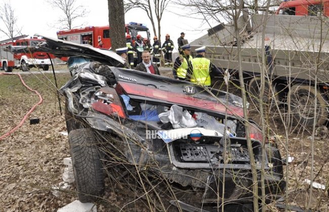 В Польше машина сбила кабана и попала под фуру. Погибли 2 человека