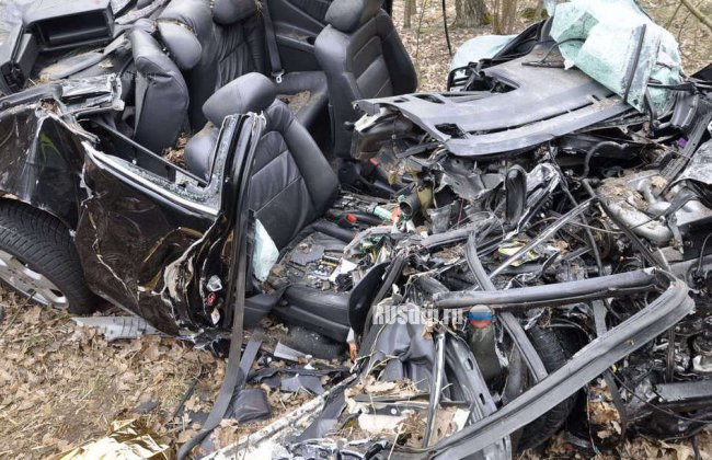 В Польше машина сбила кабана и попала под фуру. Погибли 2 человека