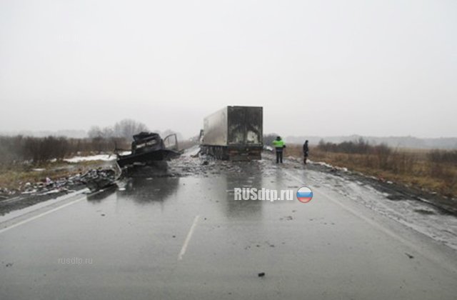 Уснувший водитель «Газели» устроил крупное ДТП на трассе Челябинск &#8212; Новосибирск