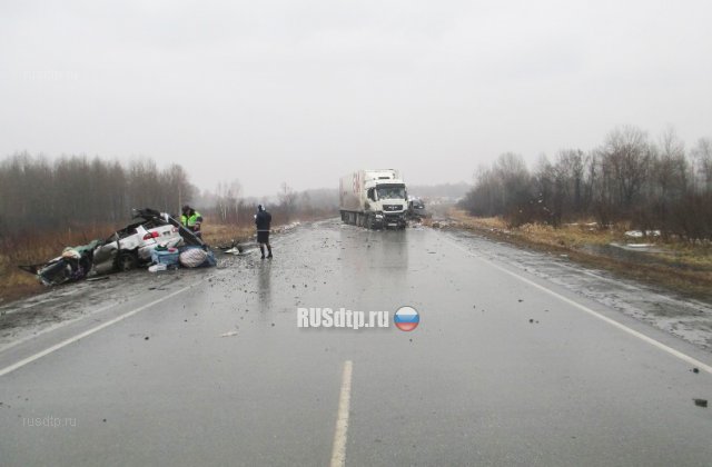 Уснувший водитель «Газели» устроил крупное ДТП на трассе Челябинск &#8212; Новосибирск