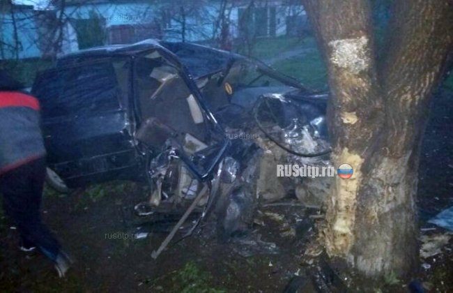 Пенсионерка погибла при столкновении автомобиля с деревом на СТаврополье
