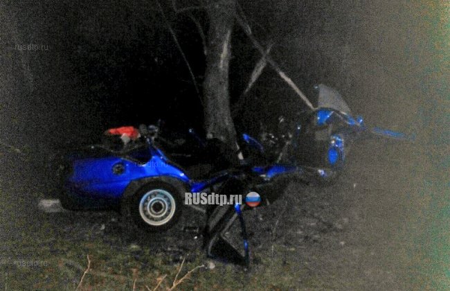 Молодые супруги разбились в ДТП под Киевом